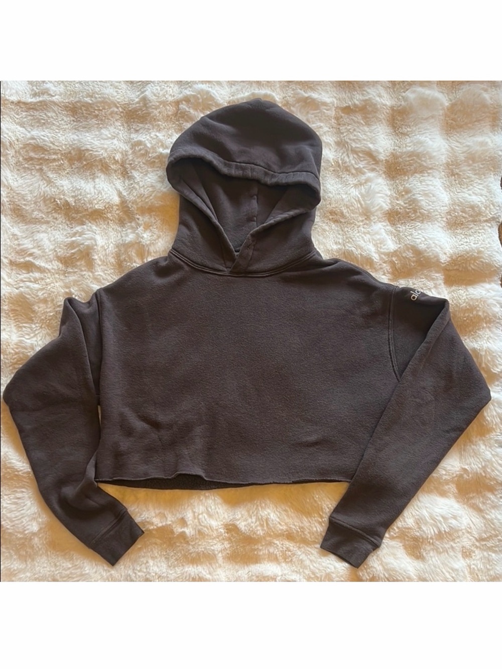 Alo Women's Cropped Hooded Sweatshirt - eggplant